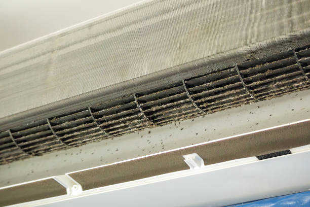 Best Affordable Duct Cleaning Services  in Shiner, TX